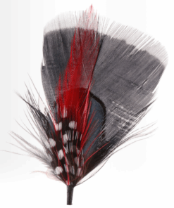 Hat Feather one H