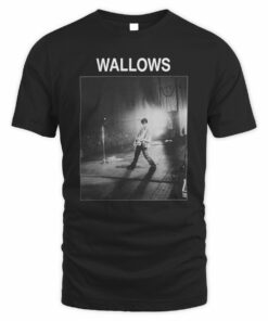 Wallows Shop Dylan Photo Tee Shirt