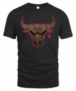 NBA Shop Chicago Bulls Hardwood Graphic T-Shirt