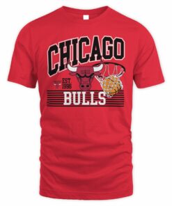 NBA Shop Chicago Bulls Vintage Vibe Graphic T-Shirt