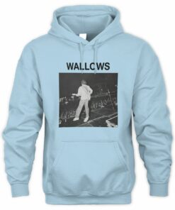 Wallows Merch Stage Crowd Photo Pullover Hoodie
