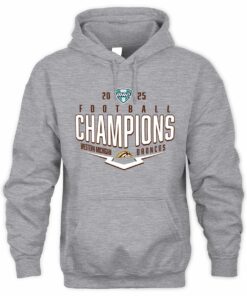 Western Michigan Broncos 2025 MAC Football Champions Logo Graphic Hoodie