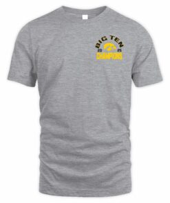 Iowa Hawkeyes 2025 Big Ten Football Conference Champions T-Shirt