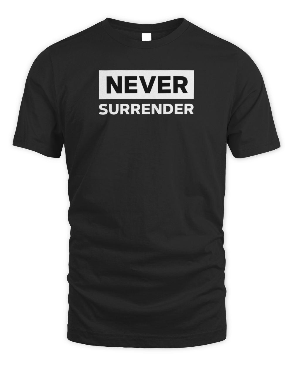 Charlie Kirk Freedom Shirt Never Surrender Tee