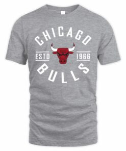 NBA Shop Chicago Bulls True Classic Graphic T-Shirt