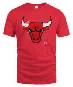 NBA Shop Chicago Bulls Splatter Graphic T-Shirt