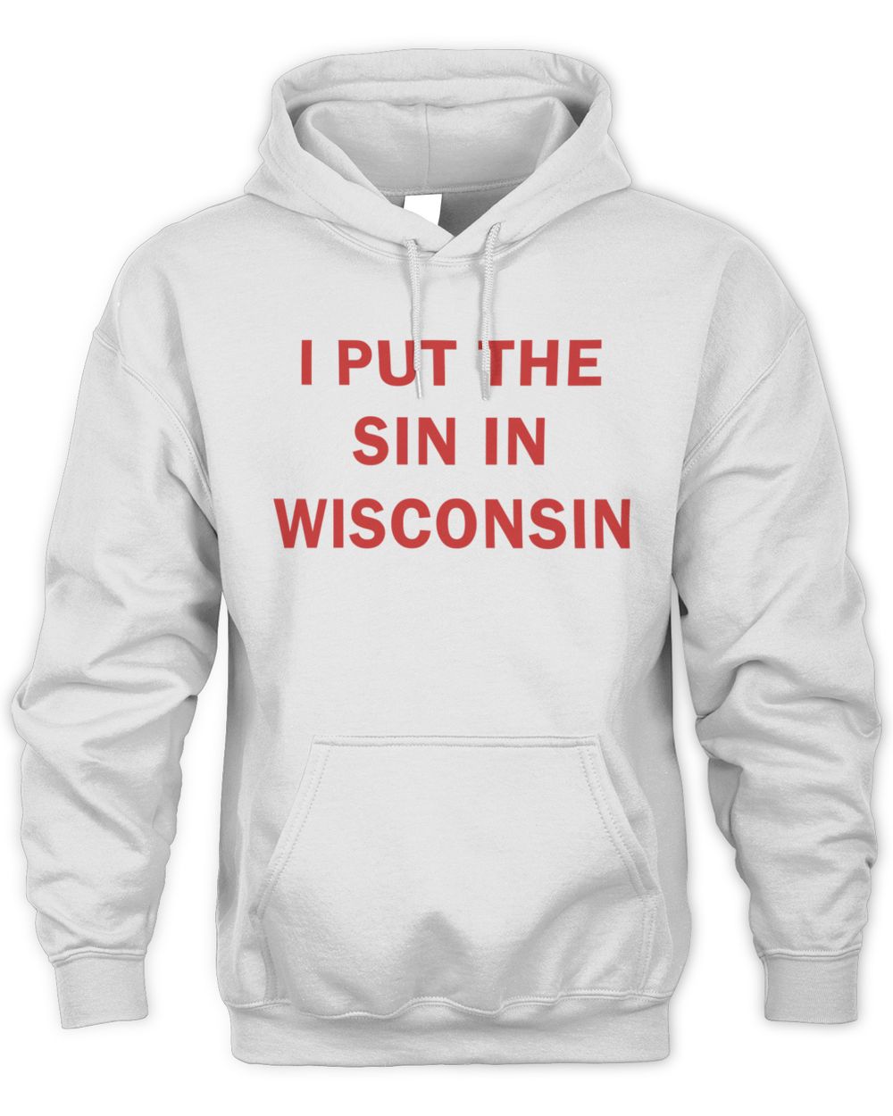 Raygun Sin In Wisconsin Text Hoodie