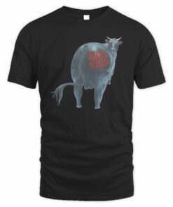 Blink-182 Official Store Dude Ranch T-Shirt
