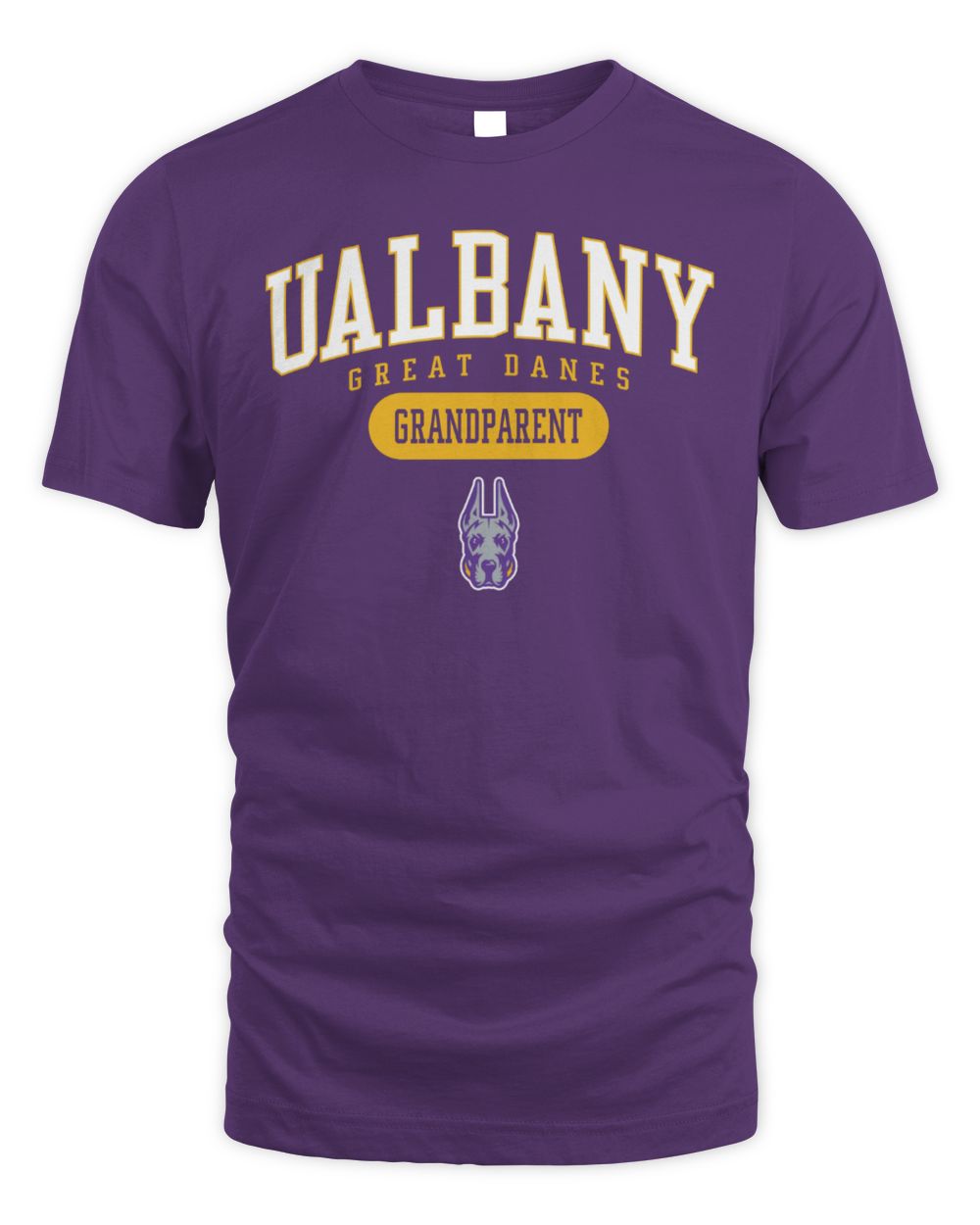 UAlbany Great Danes Grandparent Pill Box Jersey T-Shirt