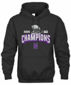 2025 Big Ten Football Champions Northwestern Wildcats College Event Hoodie