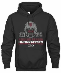Indiana Hoosiers Black Blue 84 Football 2025 Undefeated Regular Season Black Official Hoodie