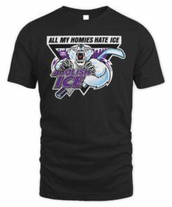 Abolish ICE All My Homies Hate ICE Meme T-Shirt