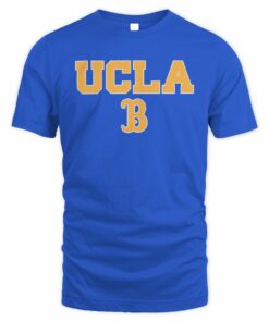 UCLA Bruins Jordan Brand Primetime Legend Wordmark T-Shirt
