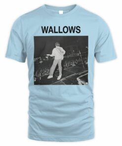 Wallows Shop Stage Crowd Photo Pullover Shirt
