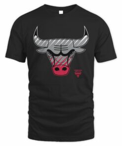 NBA Shop Chicago Bulls Fade Graphic T-Shirt