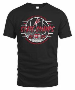 State Champions 2025 OHSAA Volleyball Tippecanoe Red Devils Division III Tee