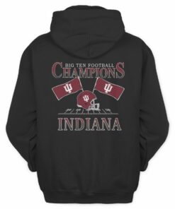 Indiana Hoosiers Black 2025 Big Ten Football Champions Flags Sweatshirt Hoodie