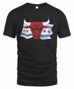 NBA Shop Chicago Bulls Black Hometown Collection Chicago Flag T-Shirt