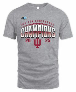 Men's Heather Gray Indiana Hoosiers 2025 Big Ten Football Champions Endzone Speed T-Shirt