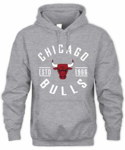 NBA Shop Chicago Bulls True Classic Graphic Sweatshirt Hoodie
