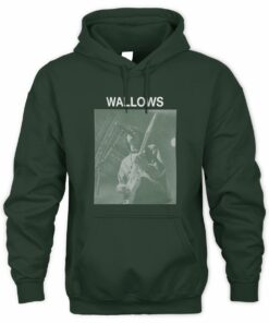 Wallows Merch Braeden Photo Green Hoodie